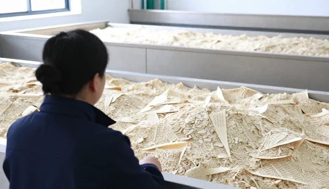 农资供应系统优化：农产品加工中的技术应用实践